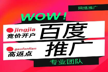 百度竞价运营的挑战与机遇：成功案例探讨